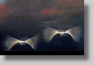 Image 12/95/4